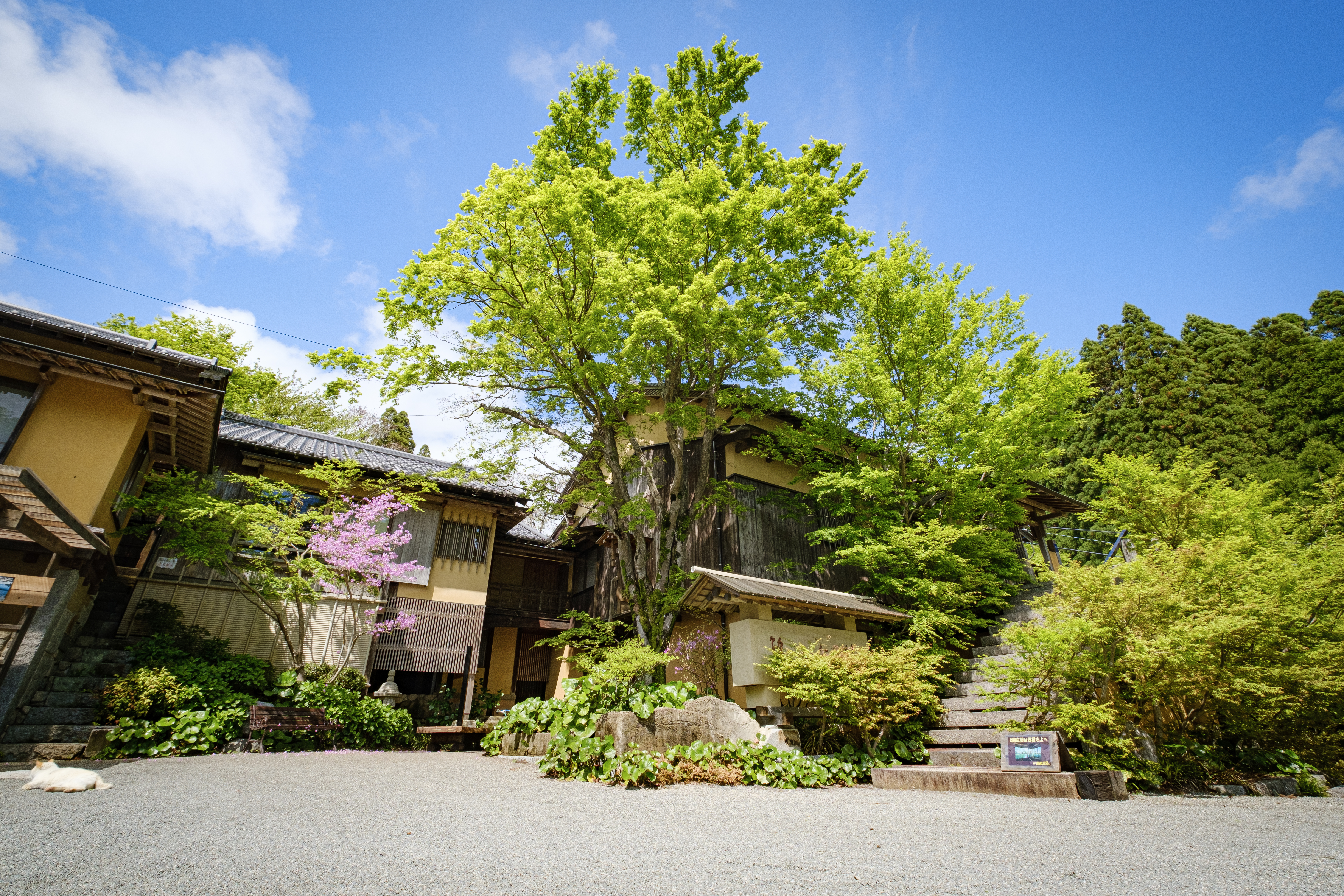 施設外観　右側の石の階段から2階の広間へ