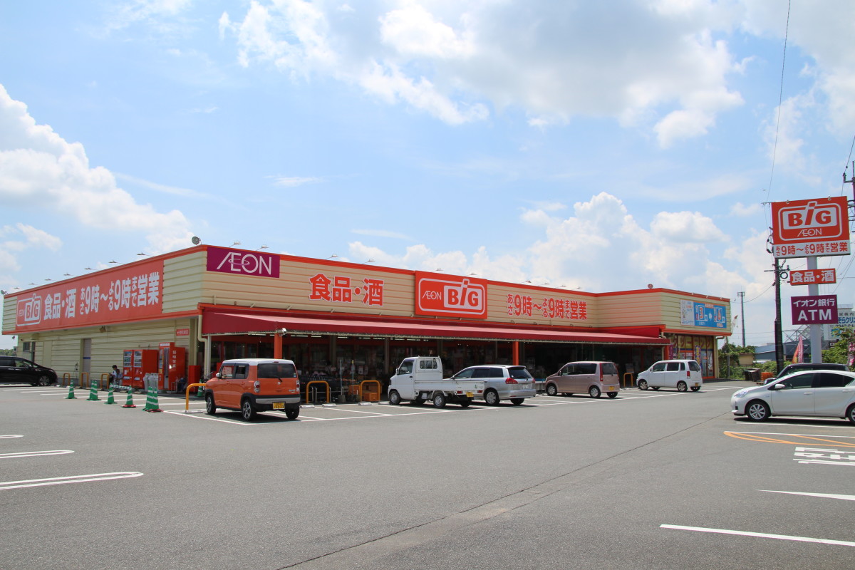 ザ・ビッグ中原店