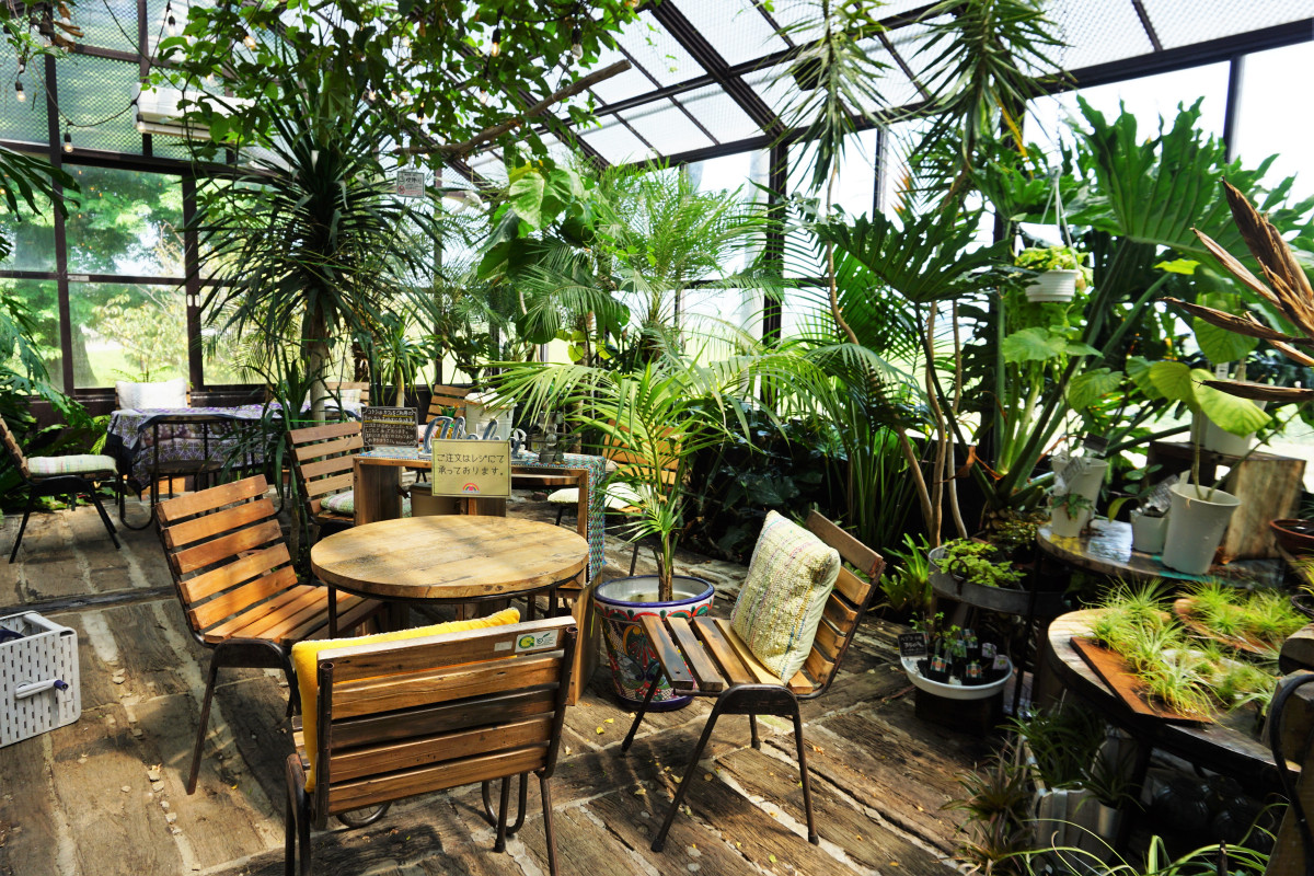 喫煙、ペット可能ル－ム