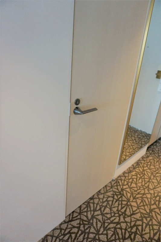 デラックスツイン、トイレは開き戸です