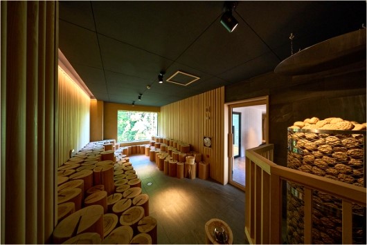 ドライサウナ もりのか