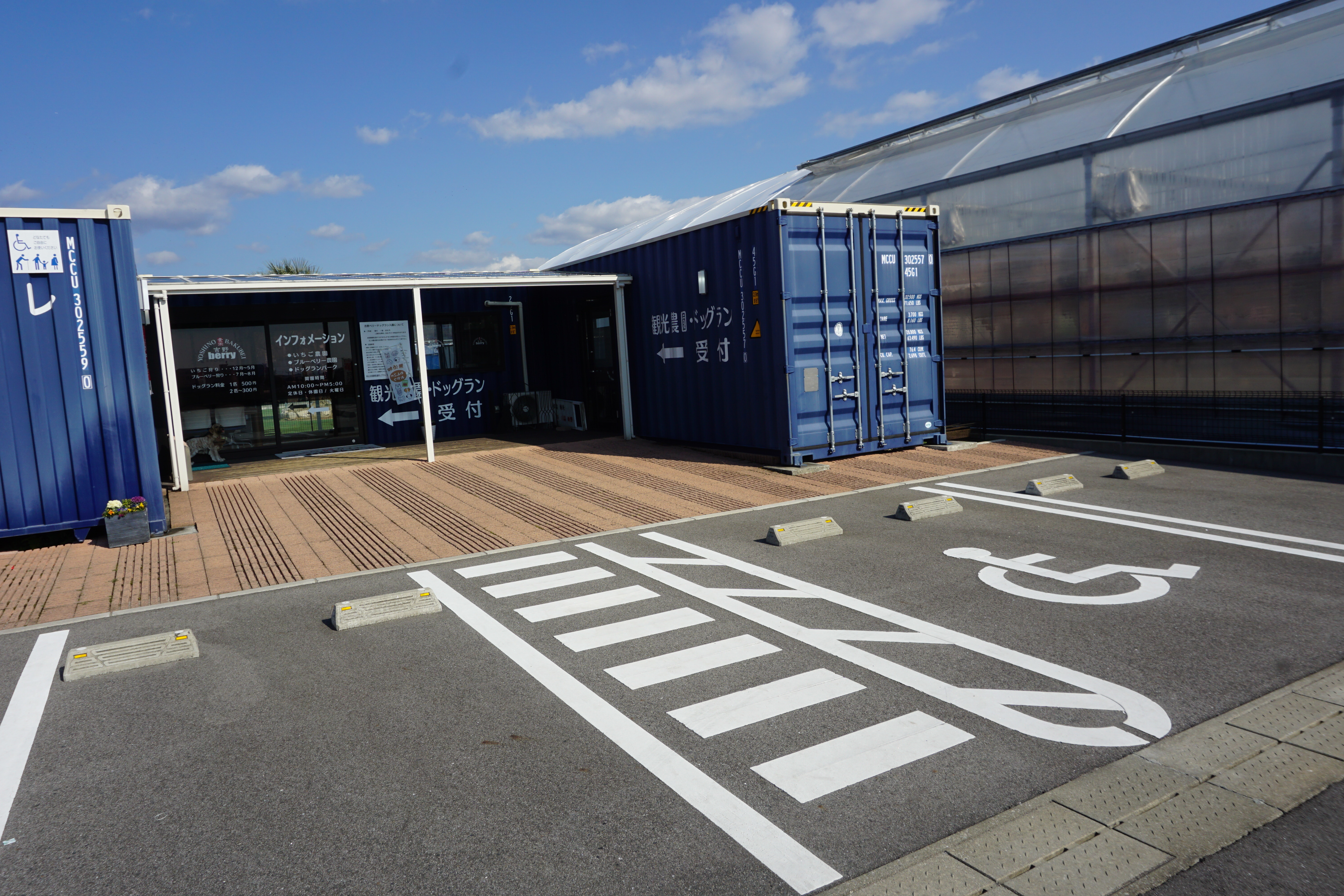 いちご狩り受付前に身障者用駐車場あり