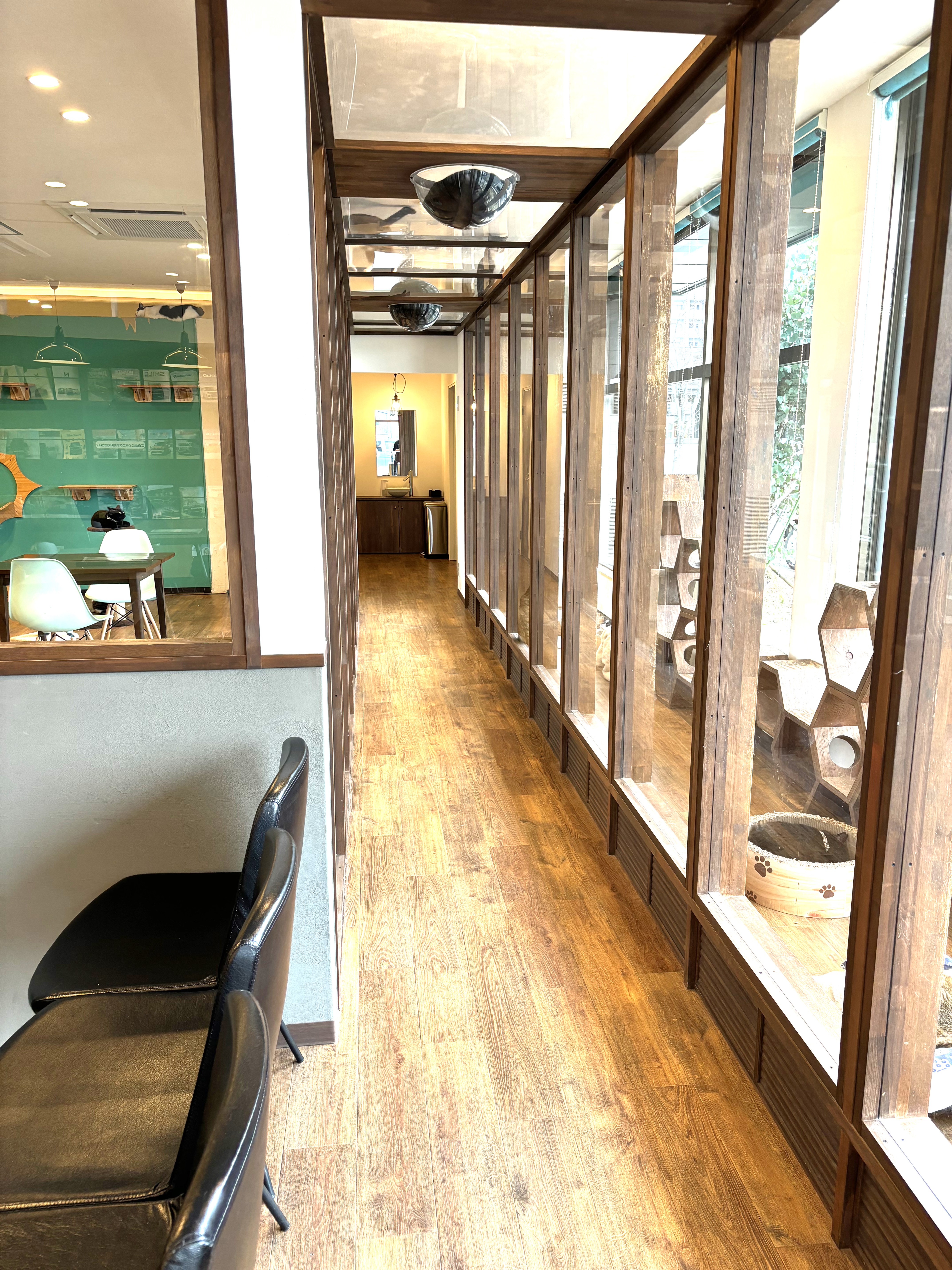 トイレへの通路