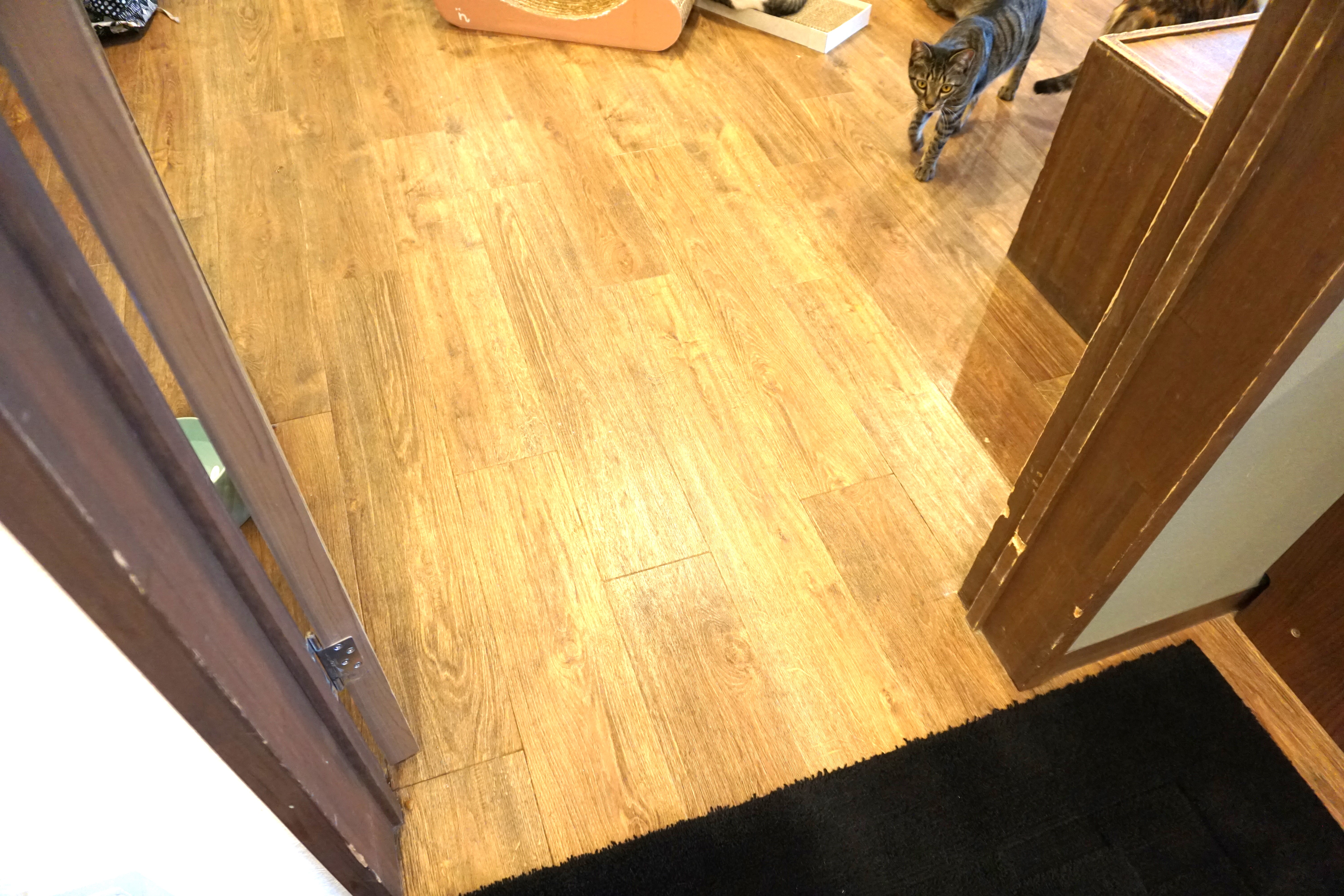 出入口は段差なくフラットです