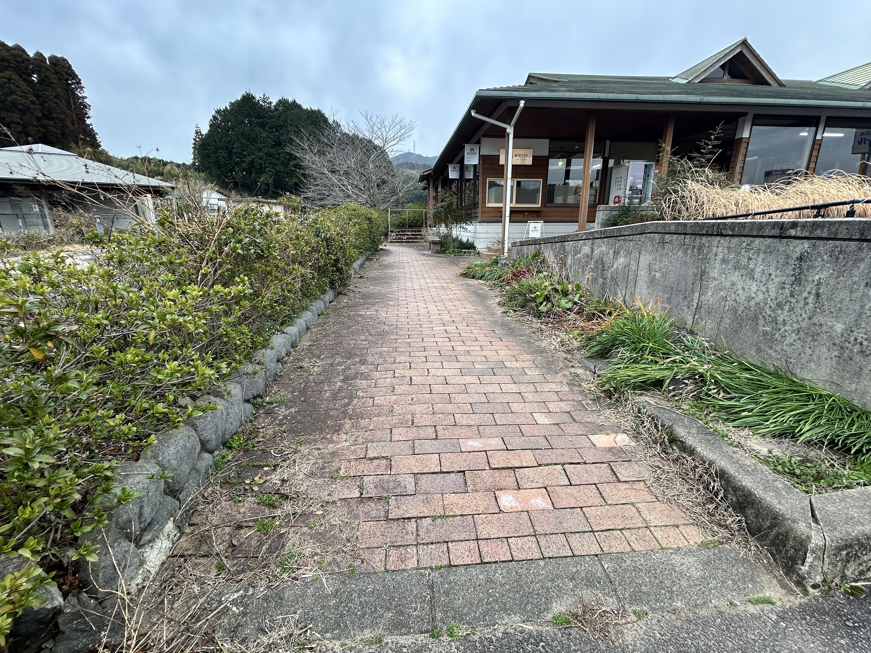 駐車場から店舗までの歩道