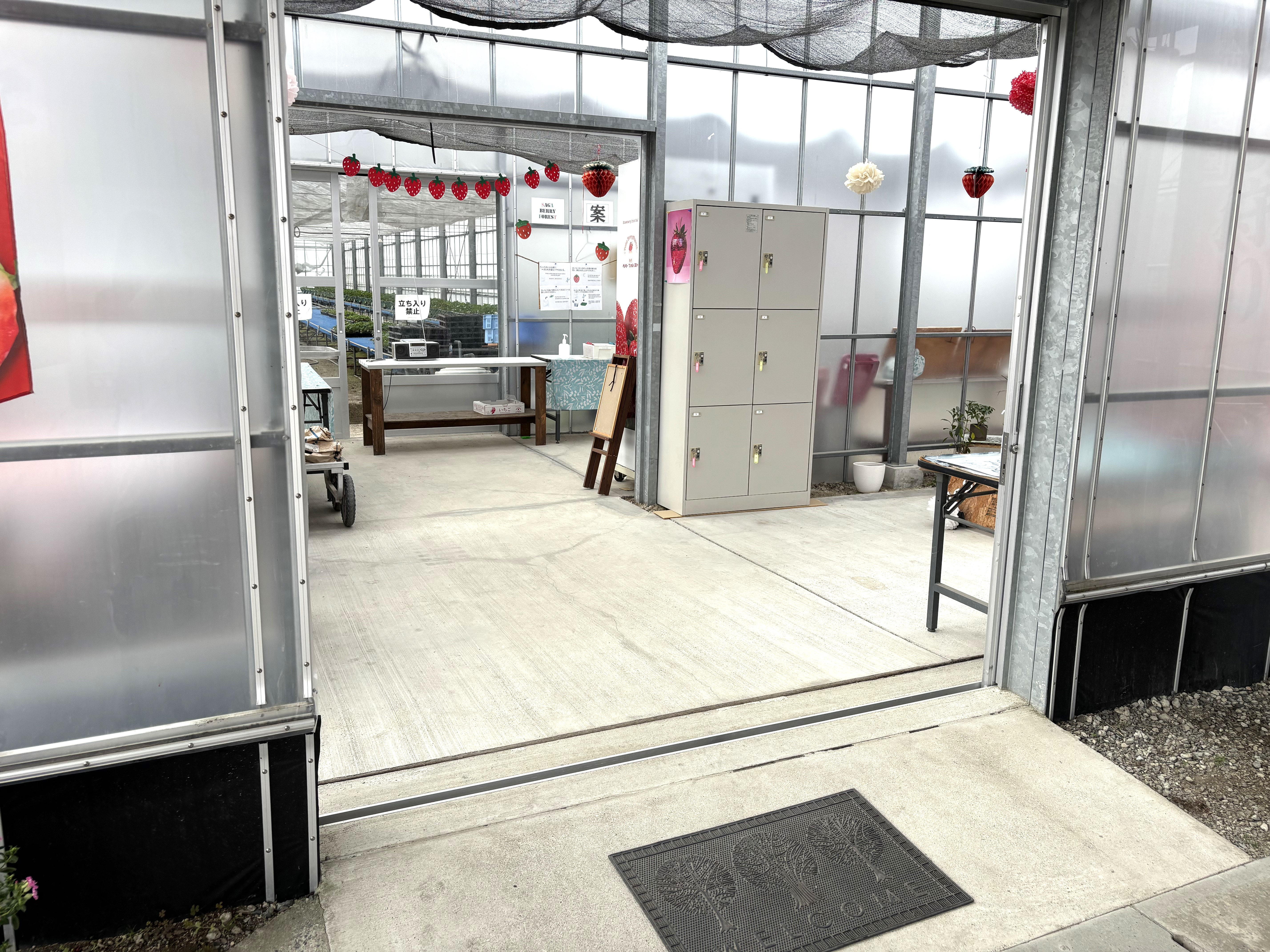 ハウスへの通路