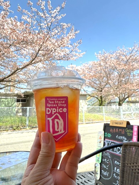 お店の前に桜の木があるので、桜の季節はとてもきれいです✨