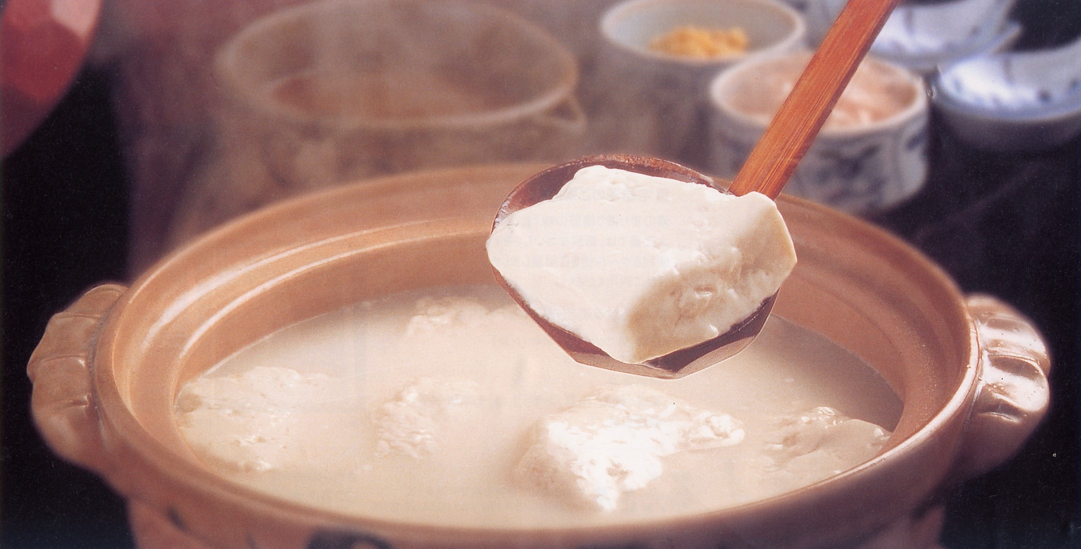 嬉野産大豆100％の温泉湯どうふ